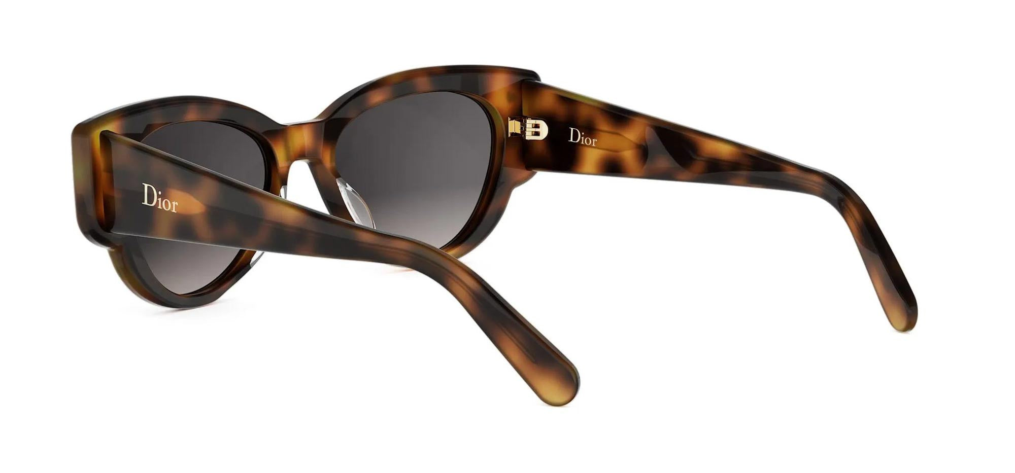 Dior Lucky Charms B1I Oval