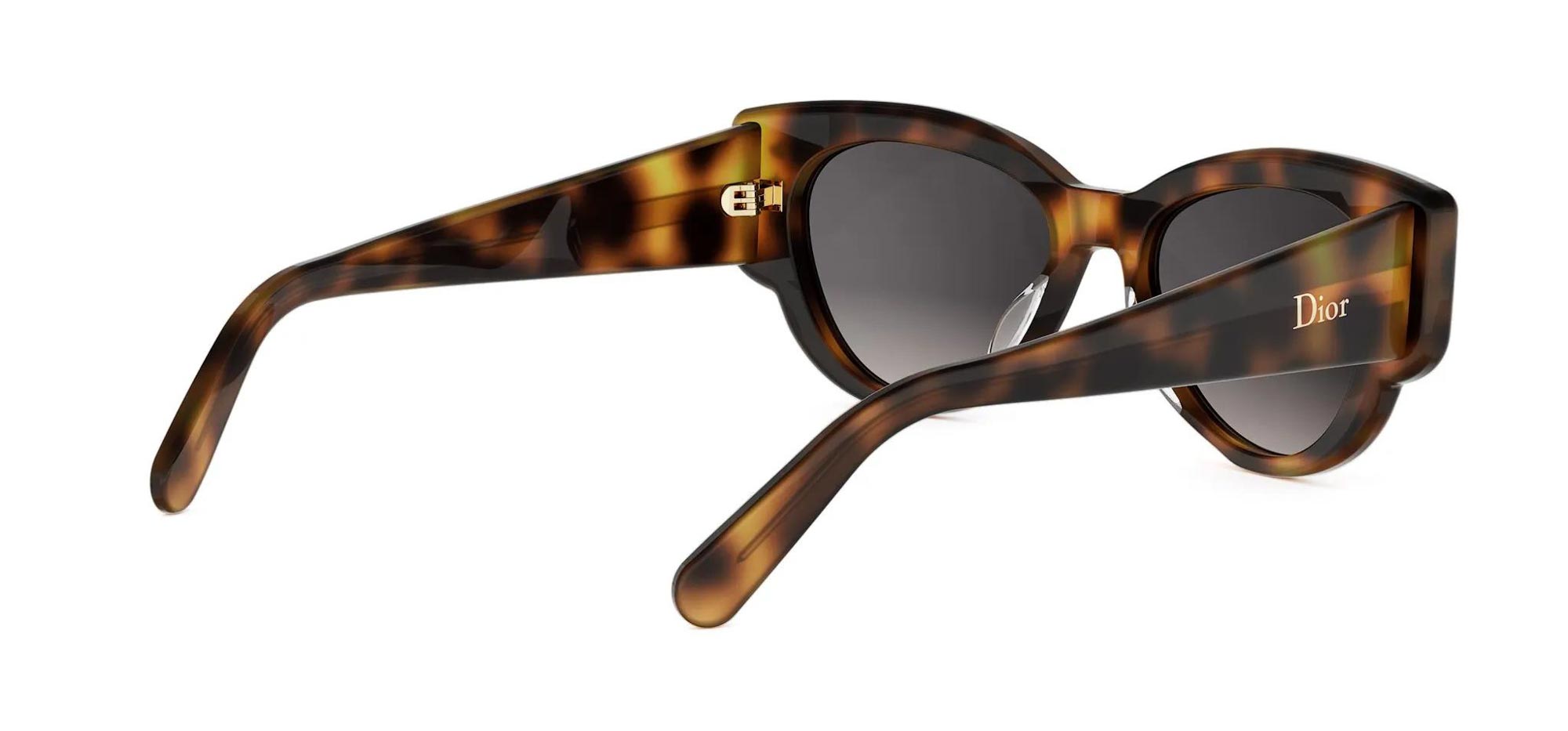 Dior Lucky Charms B1I Oval