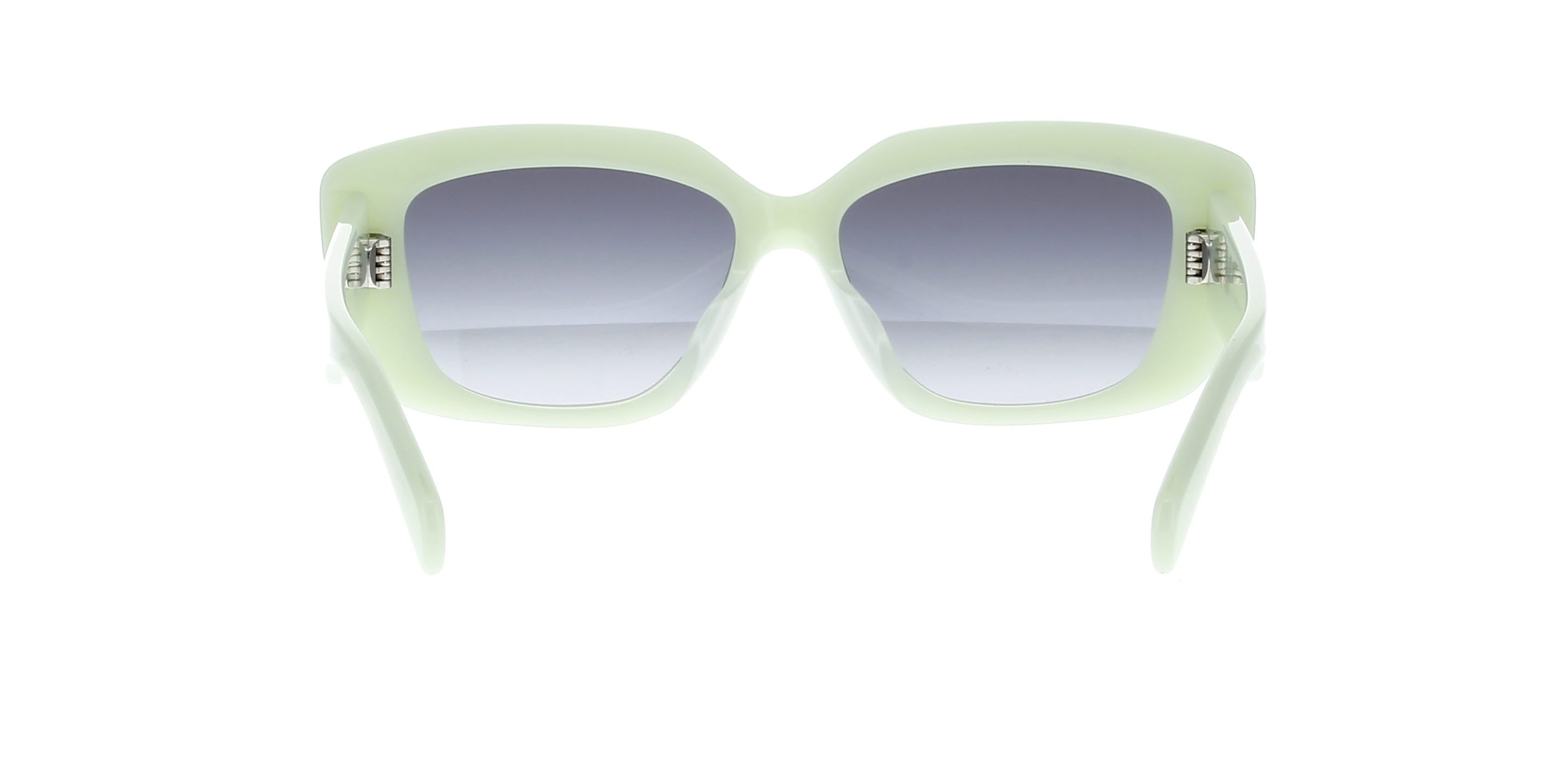 CELINE Triomphe CL40216U Square