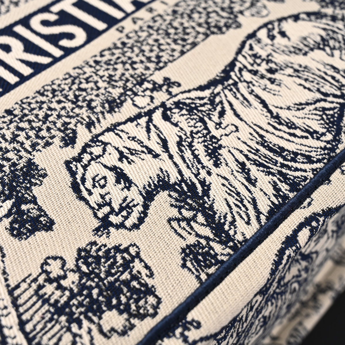 Dior Book Tote Bag – Blue Toile de Jouy Embroidery