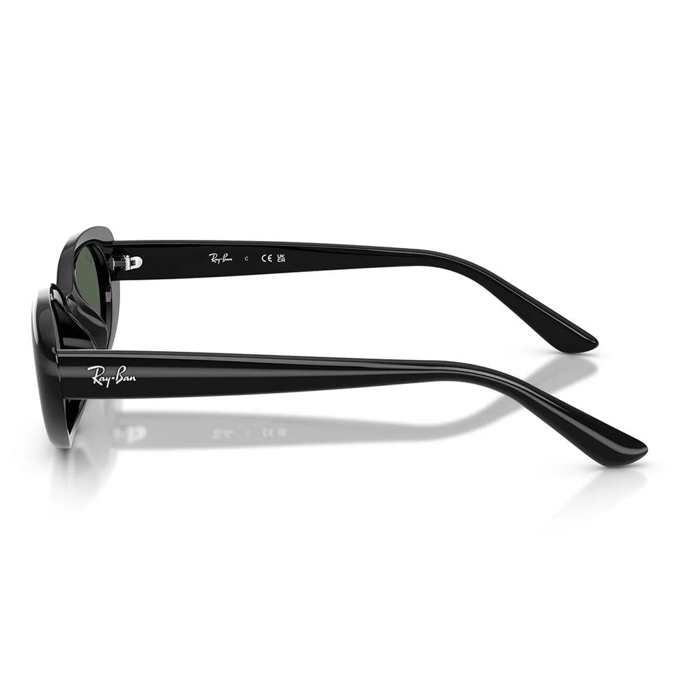 Ray-Ban RB4441D 667771 Sunglasses Cat-Eye